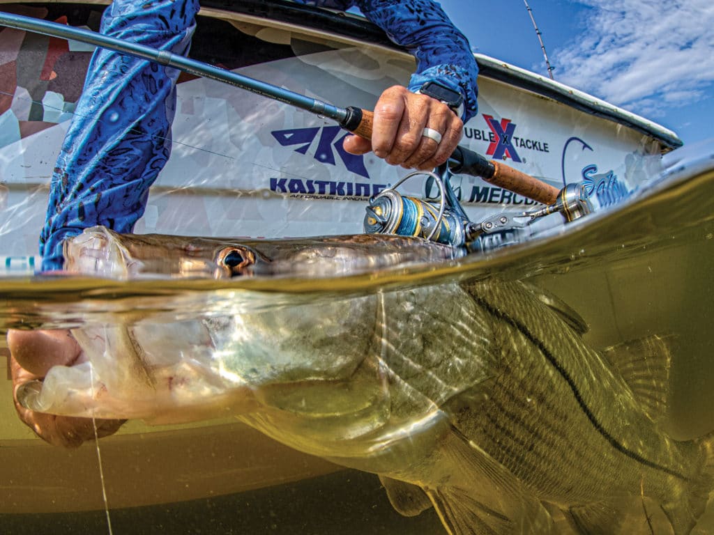 Large snook next to the boat