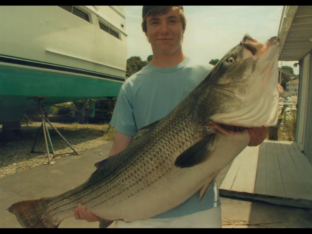 world record 60-pound striped bass