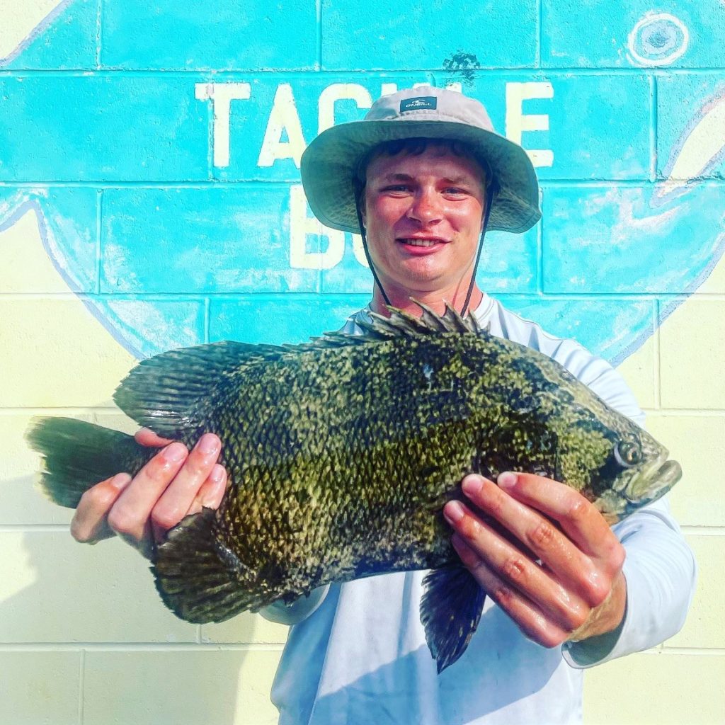 Rare Tripletail Caught Off of New Jersey