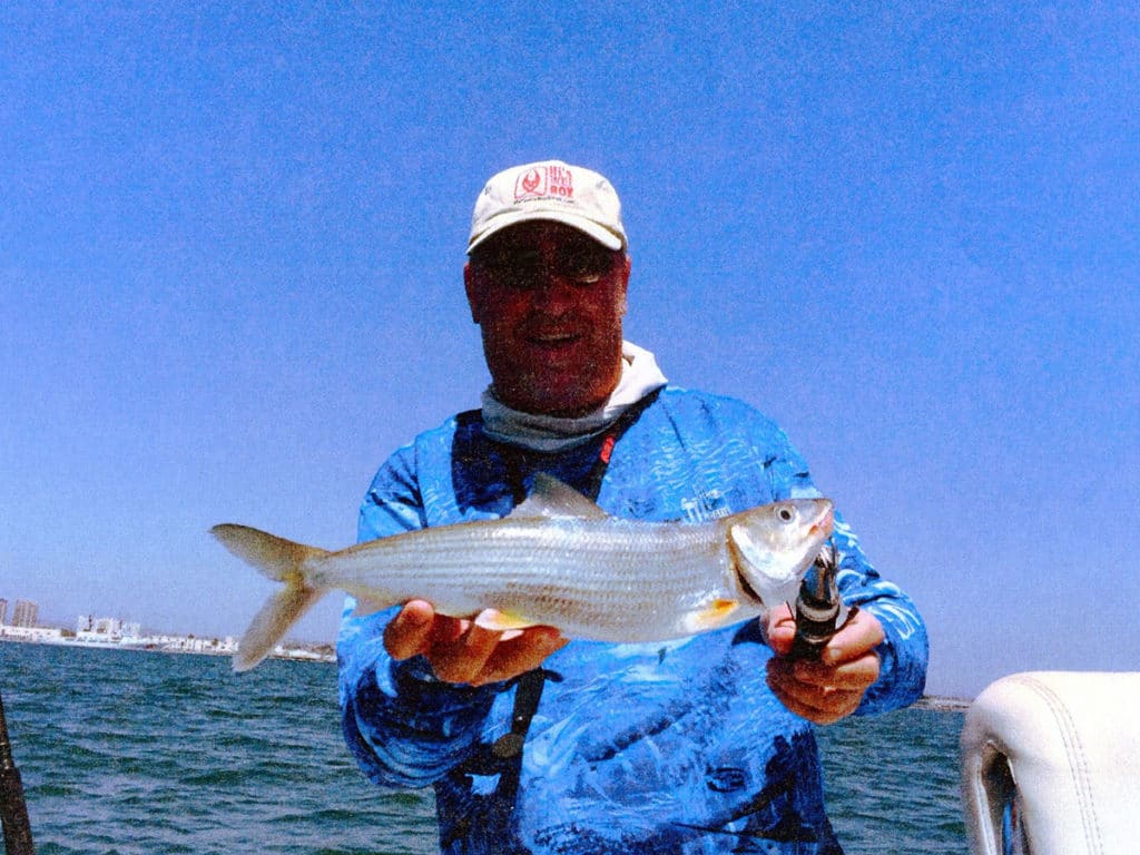 Cortez bonefish