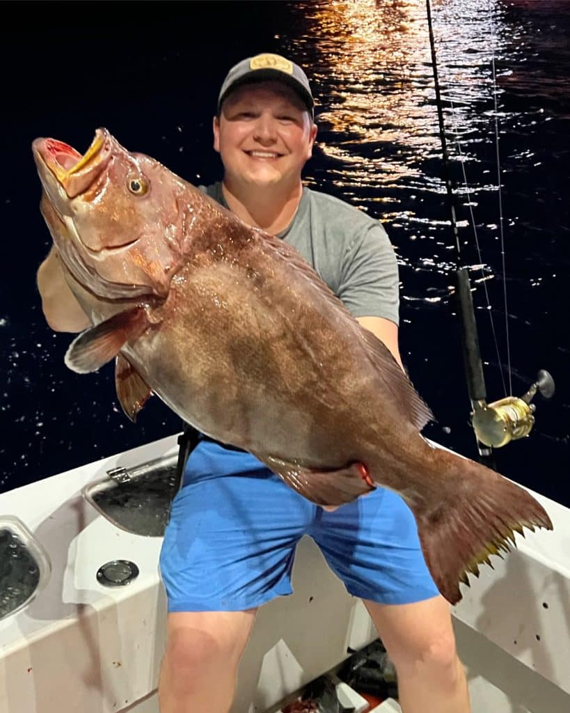 yellowmouth grouper