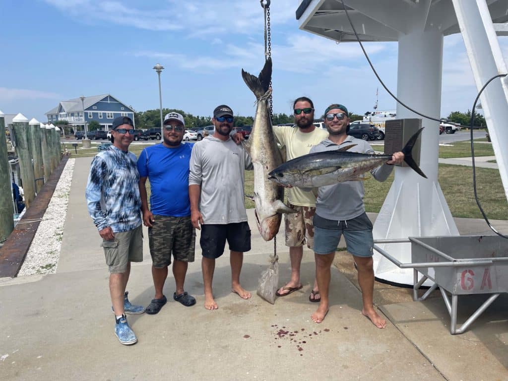 anglers with tuna and cobia