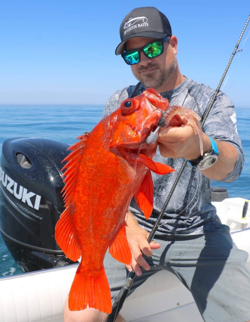 vermillion rockfish