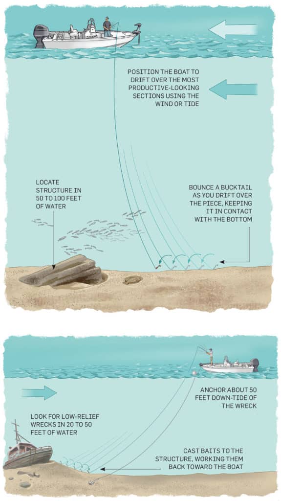 North and South flounder differences