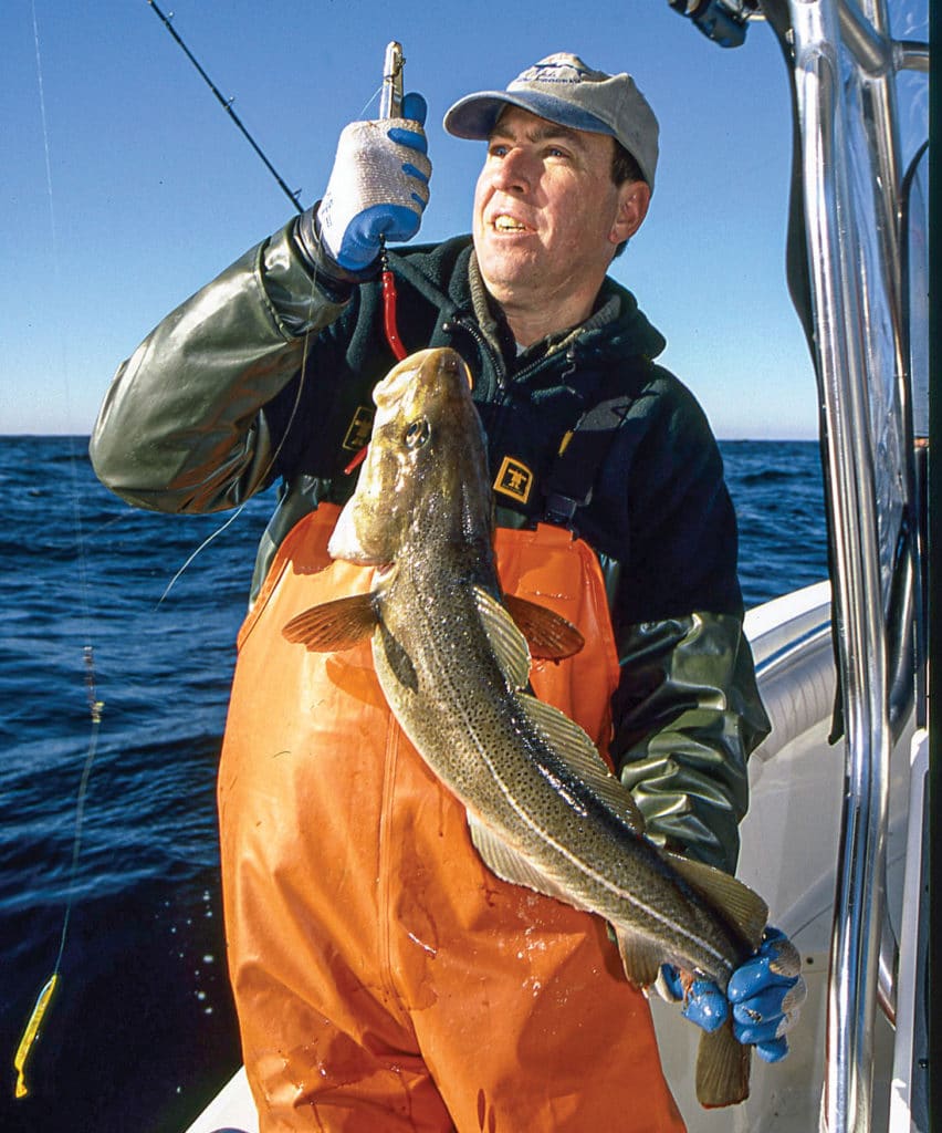 Groundfish caught using diamond jig