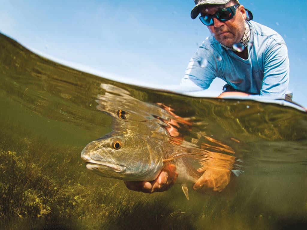 Redfish caught in Lower Laguna Madre