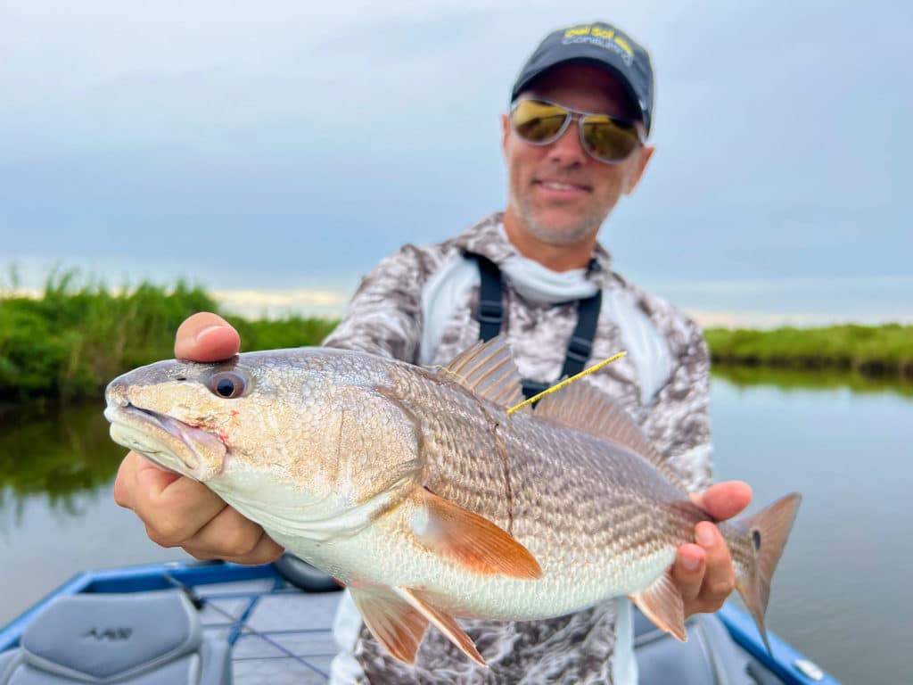 Louisiana redfish tagged released