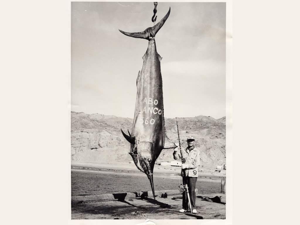 black marlin record