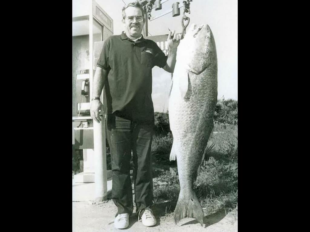 red drum record