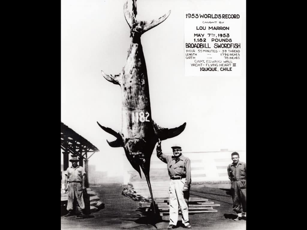 world record swordfish