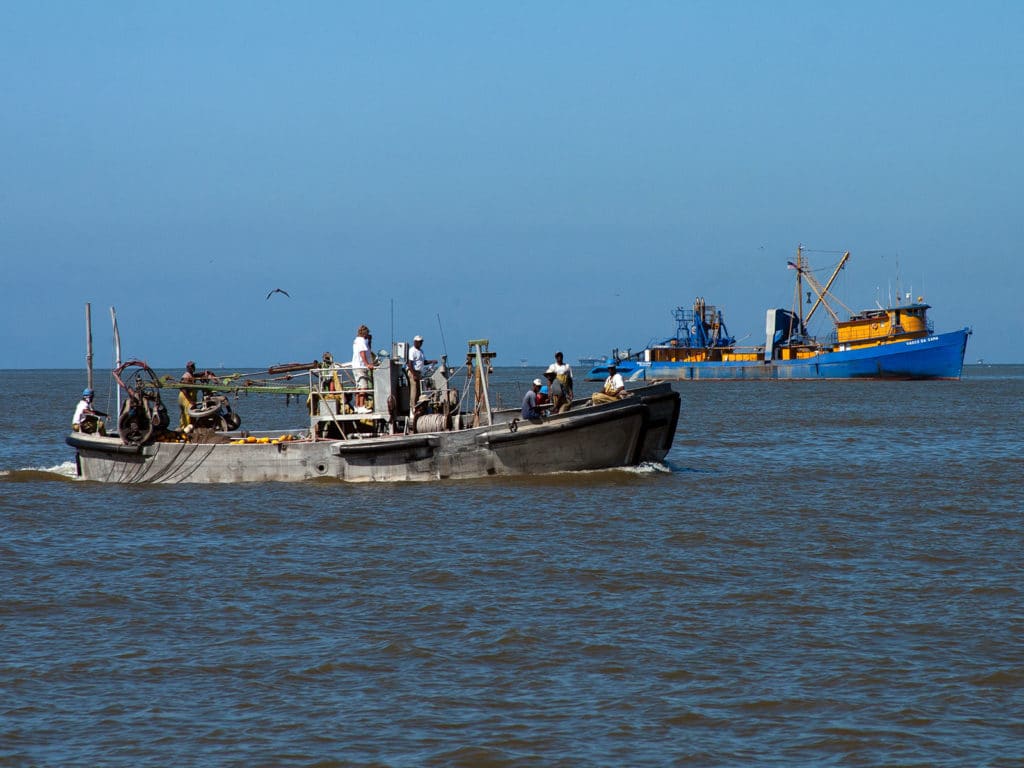 commercial menhaden fishing