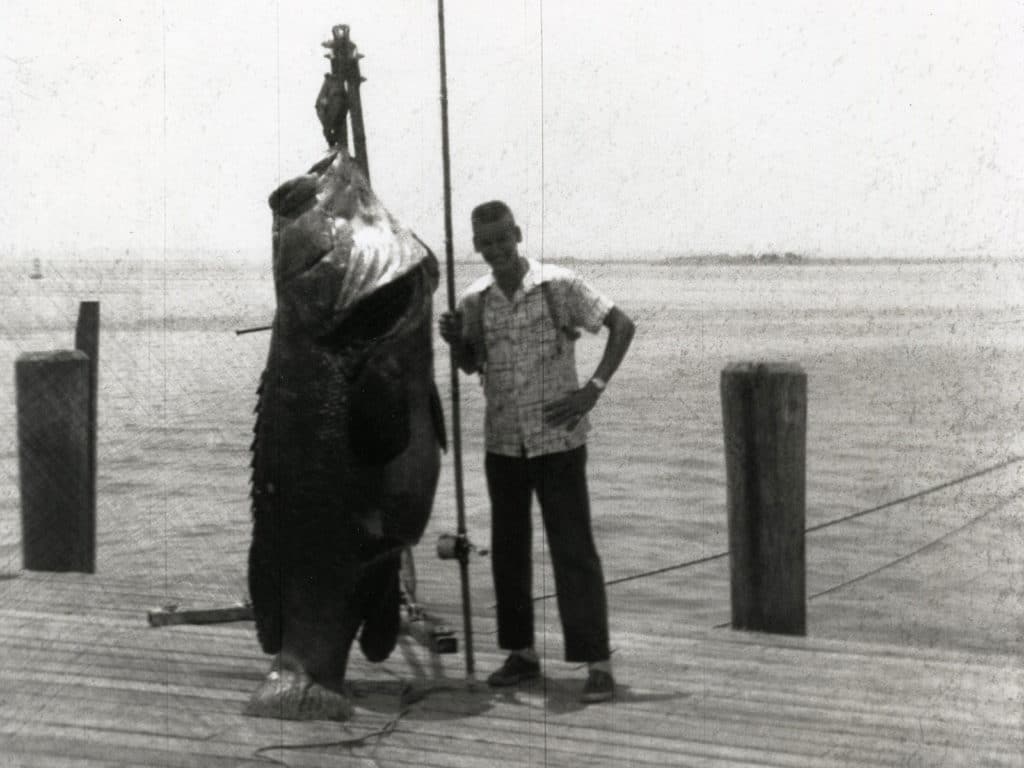 goliath grouper record