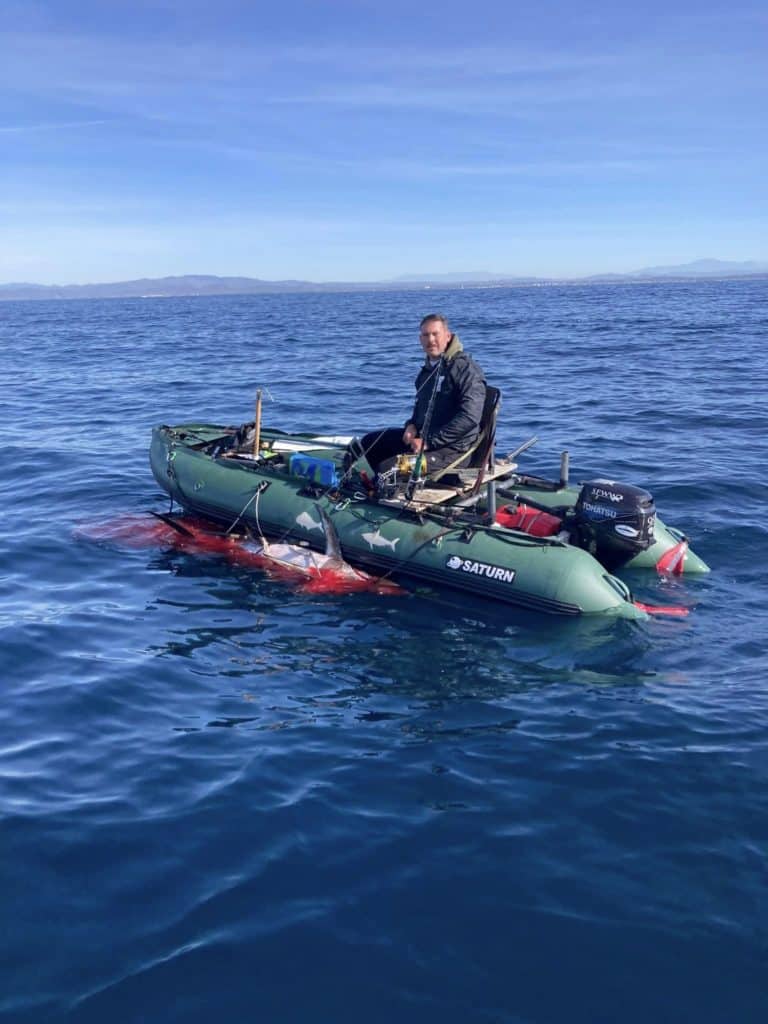 Swordfish in water alongside inflatable