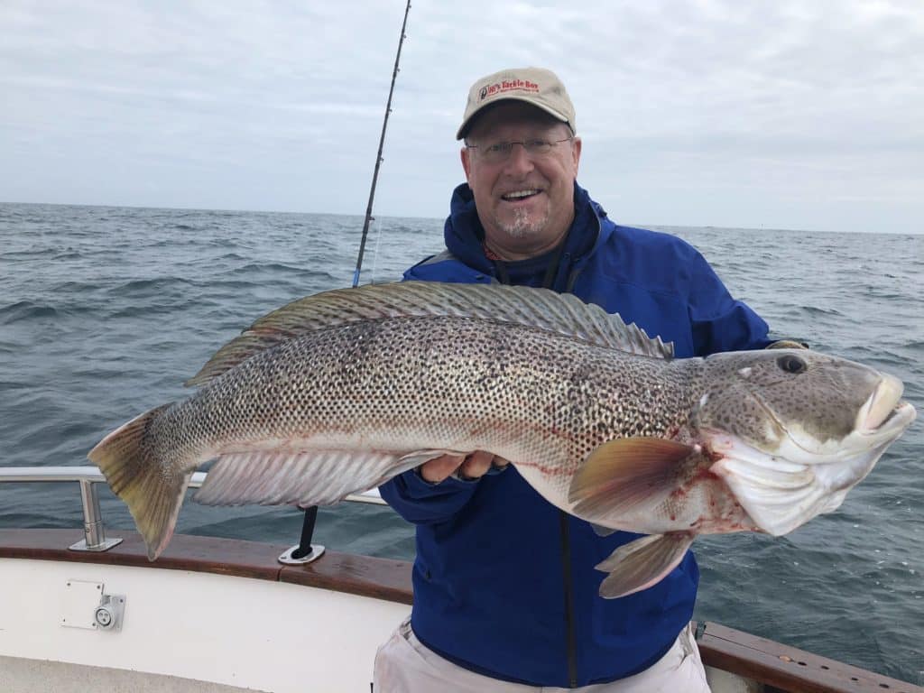 World Record Argentinian sandperch