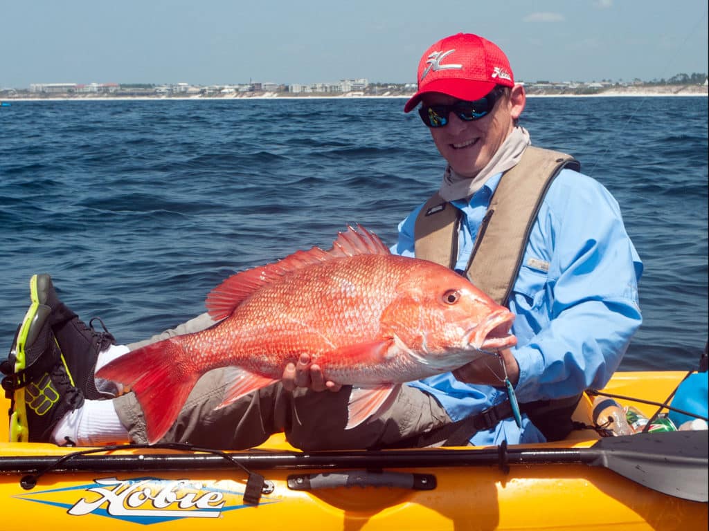 gulf red snapper