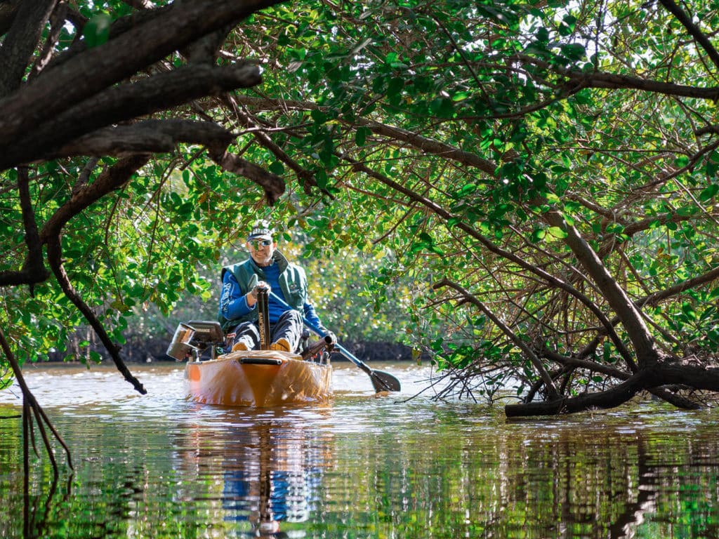 kayaking in a mangrove tunnel florida