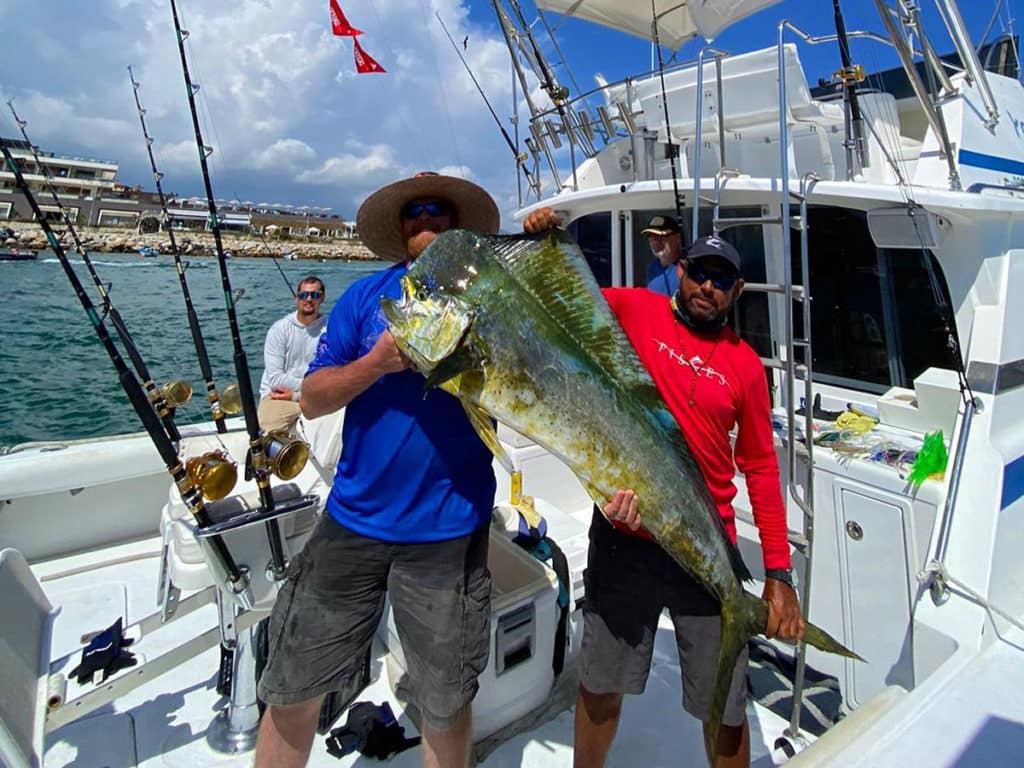 Cabo San Lucas dorado Pisces Sportfishing