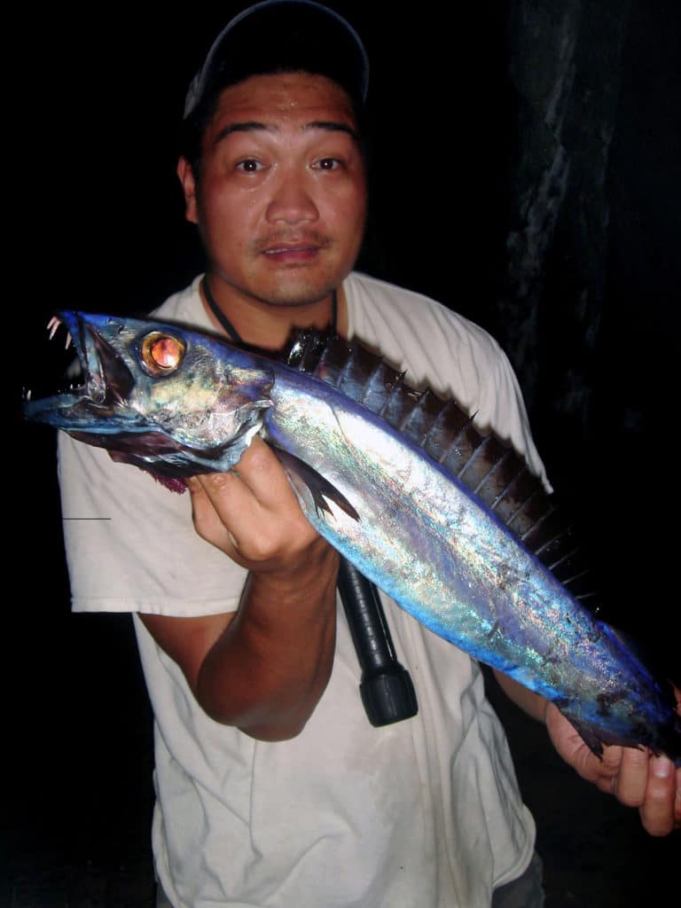 Hawaii snake mackerel