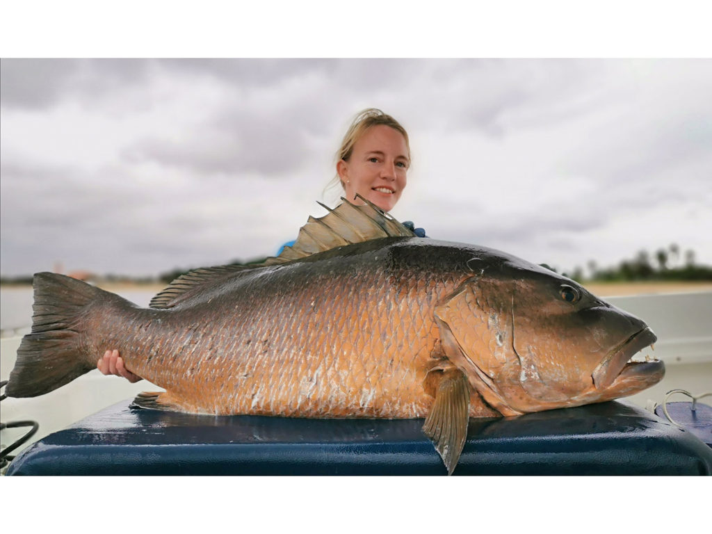 African red snapper