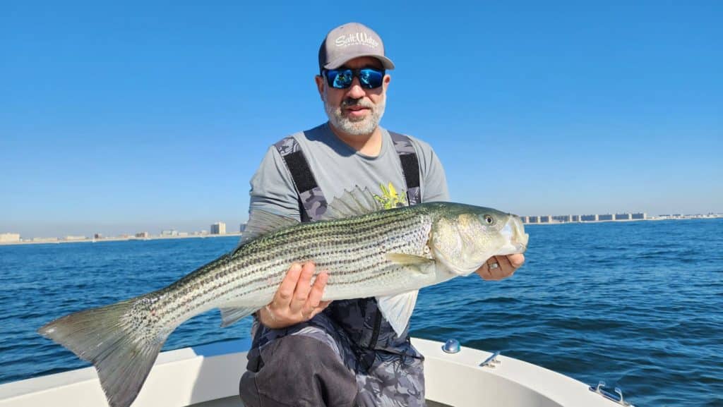 angler with striped bass