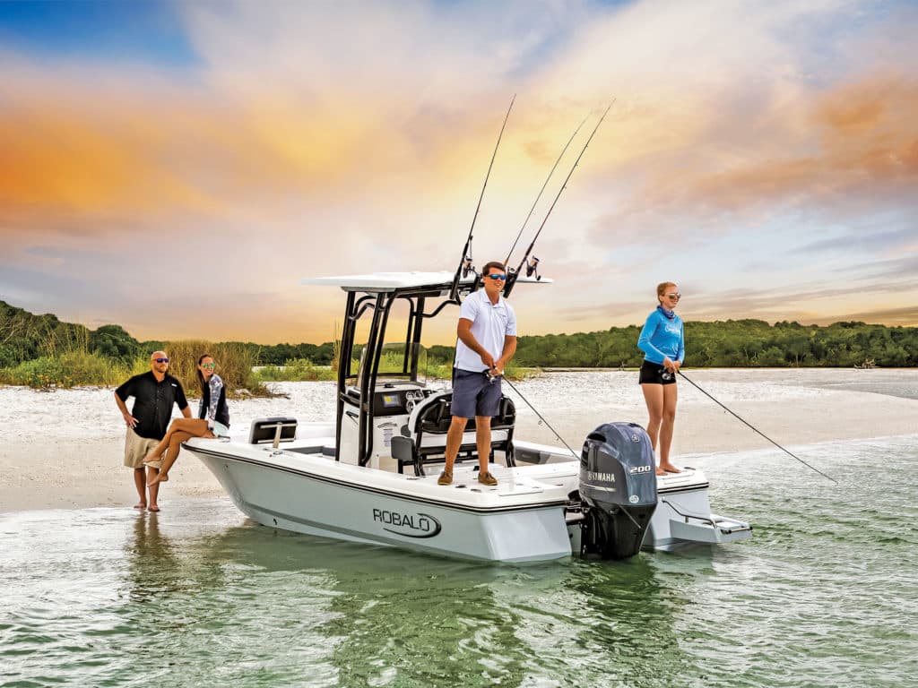 Hybrid boat at the sandbar