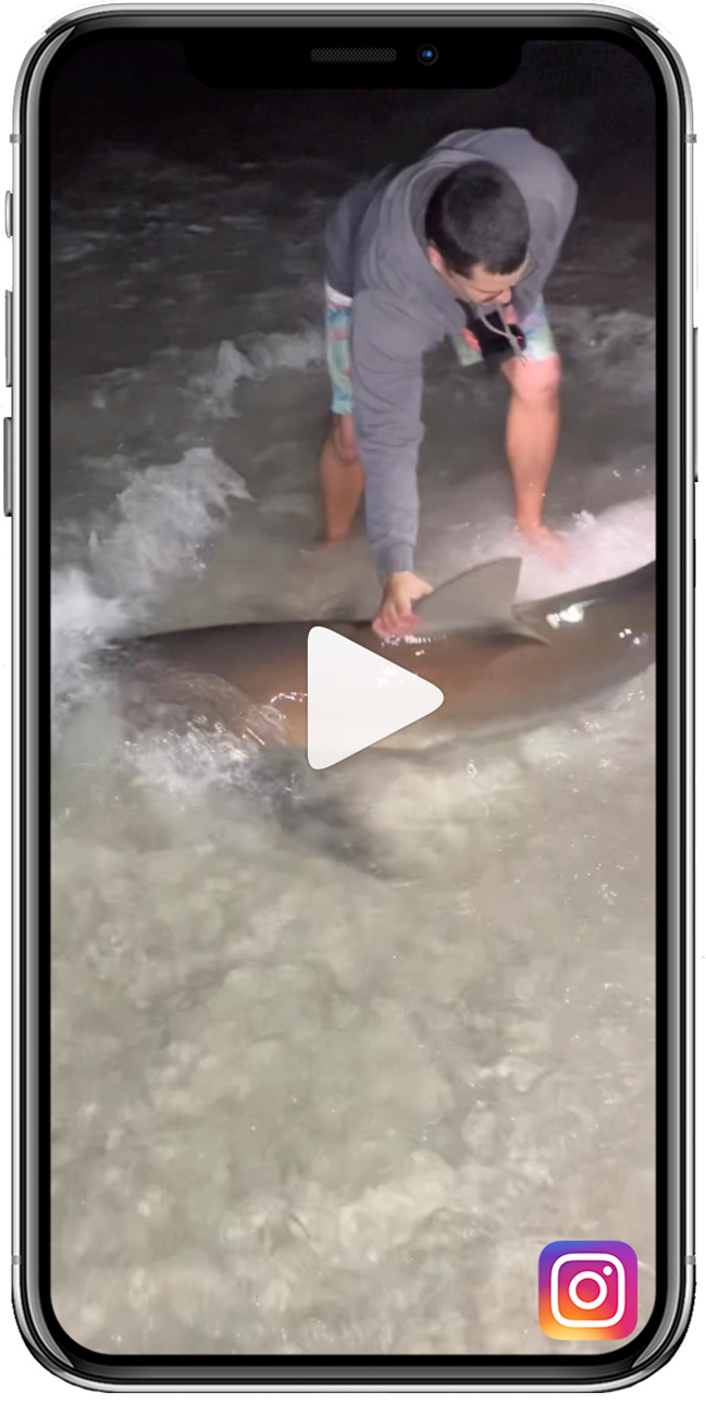 Jack Moran shark Fishing Instagram