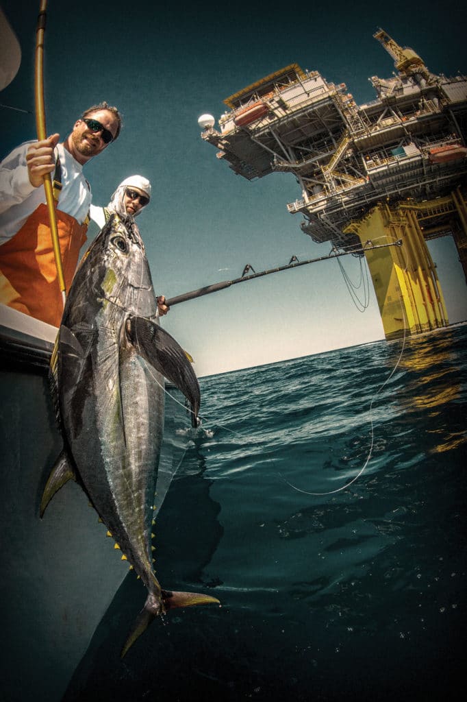 Tuna caught near offshore rig