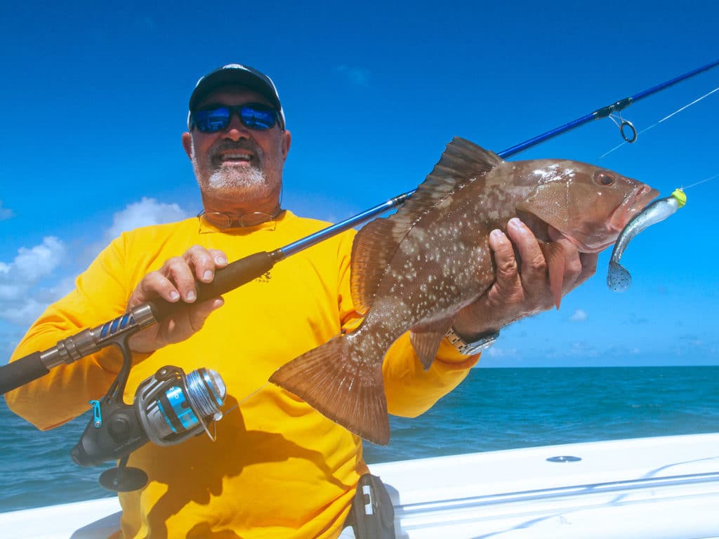 gulf keys red grouper