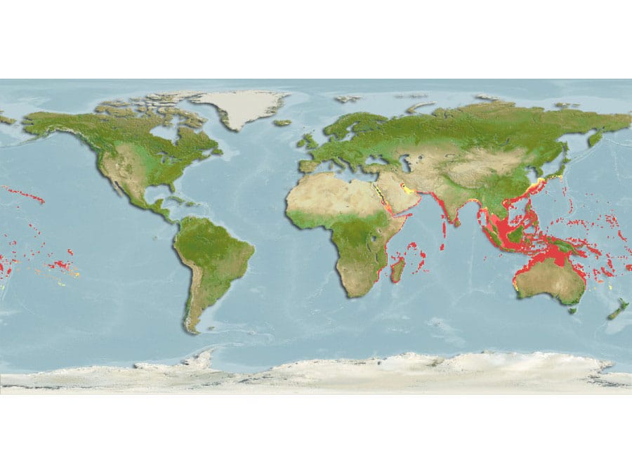 jobfish worldwide distribution