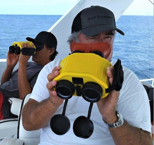 gyro-stabilized binoculars