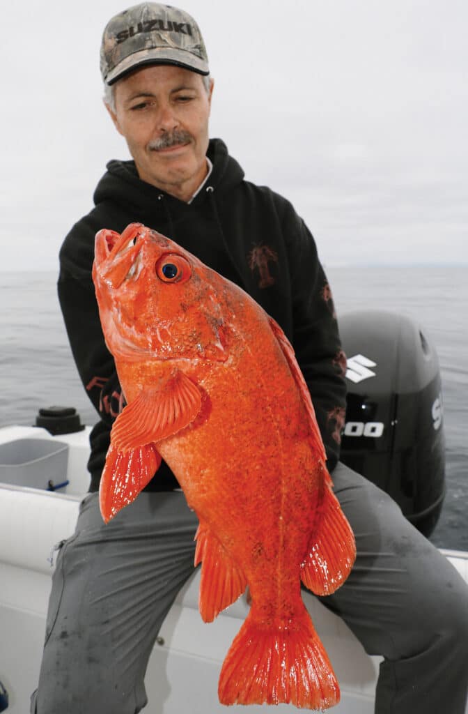 Large rockfish on the boat