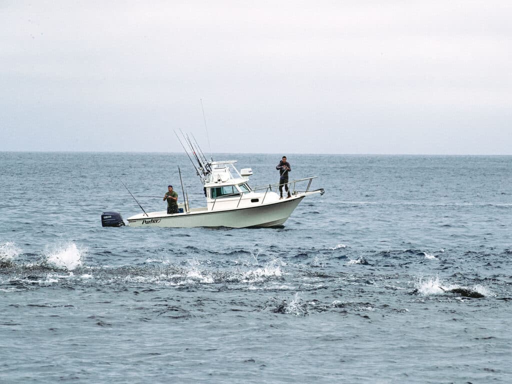 Anglers on a school of tuna