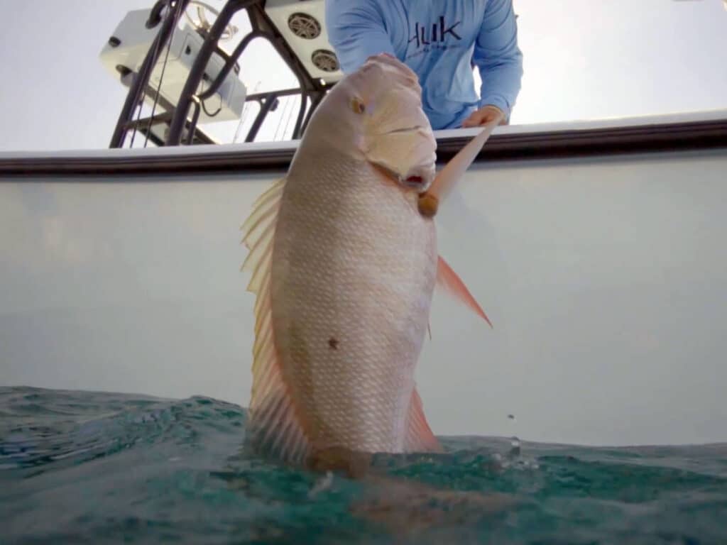 Releasing a fish in the Keys