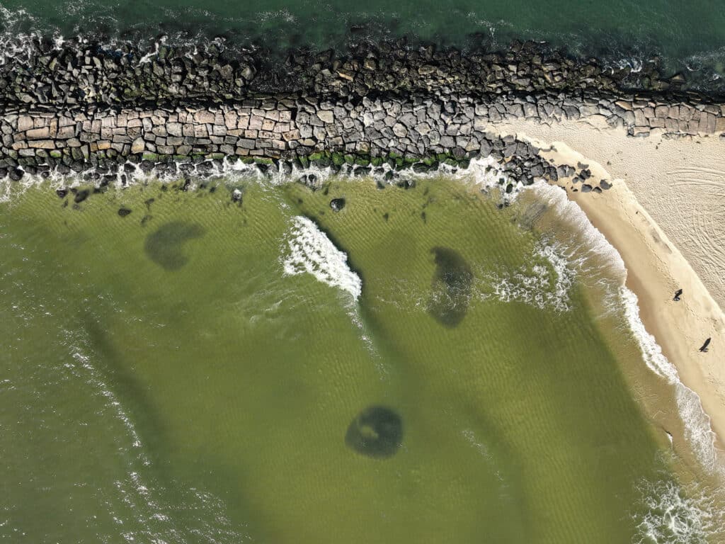 Bait schools next to jetty