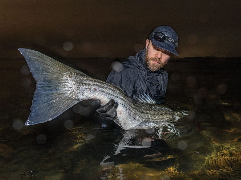 Striped bass caught along jetty