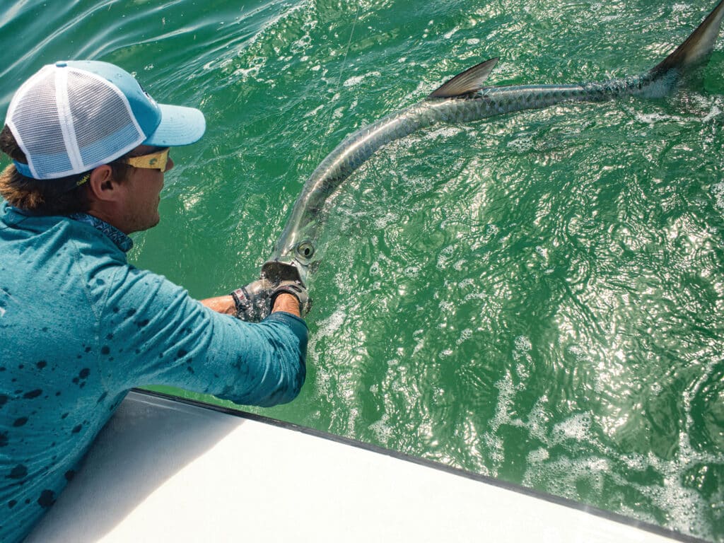 Tarpon caught near jetty