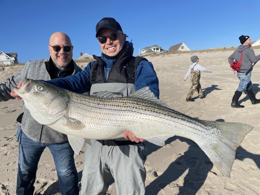 Striped Bass on New Jersey Beach