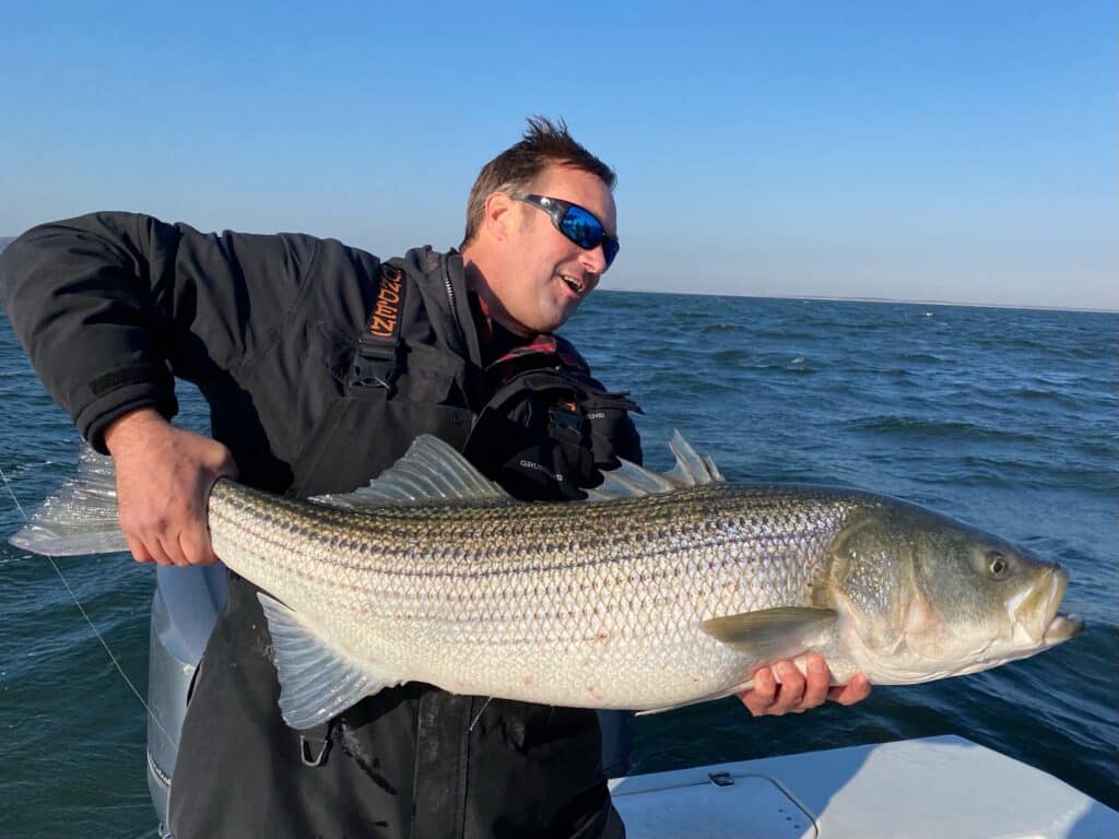 Striped bass on boat