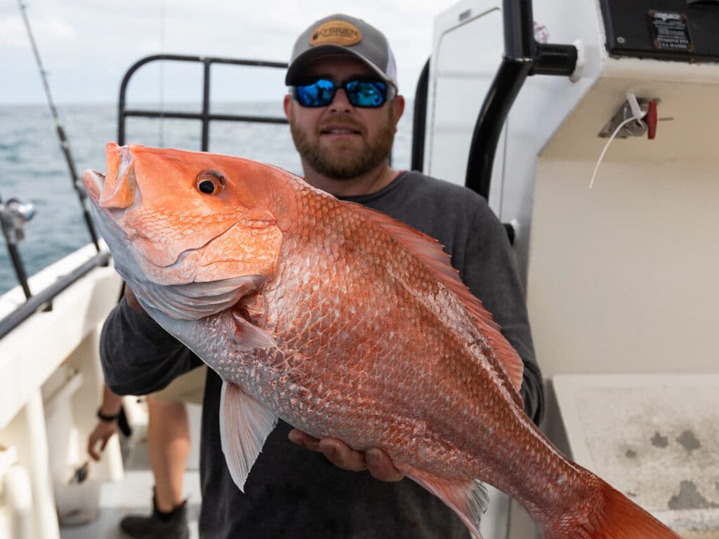 Snapper Fishing, How to Catch Snapper