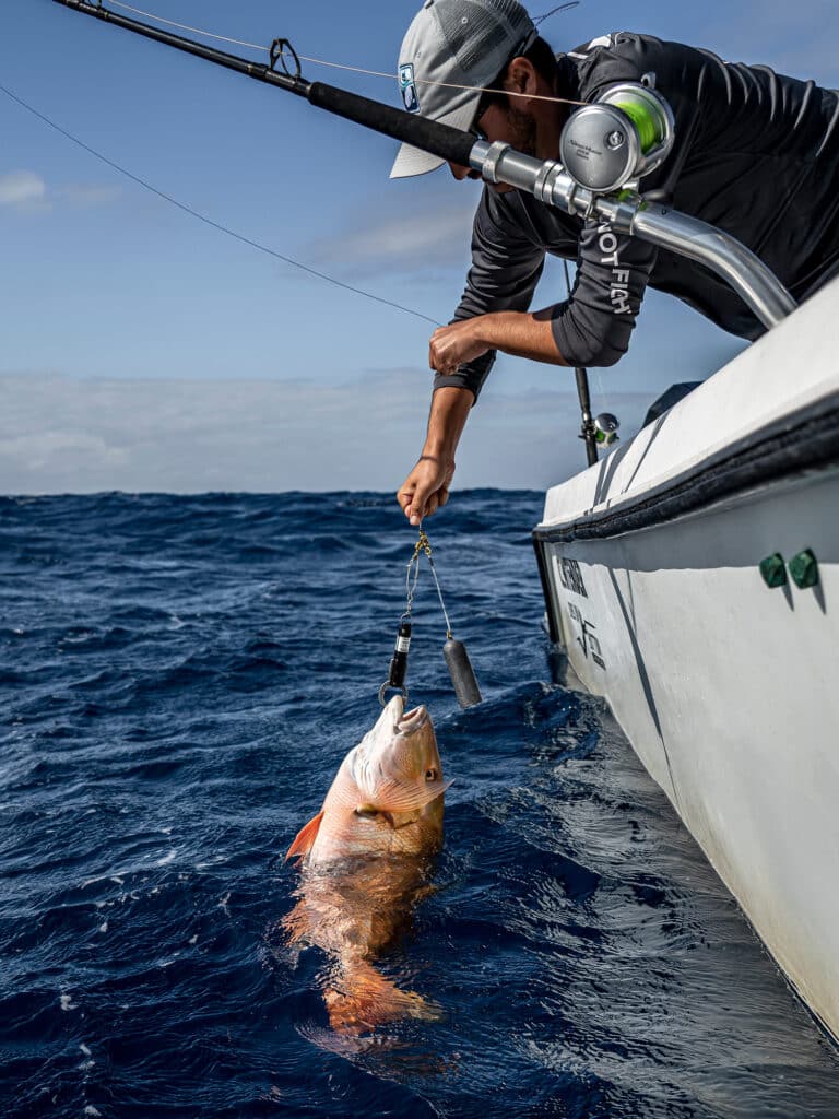 return snapper to bottom with descender device