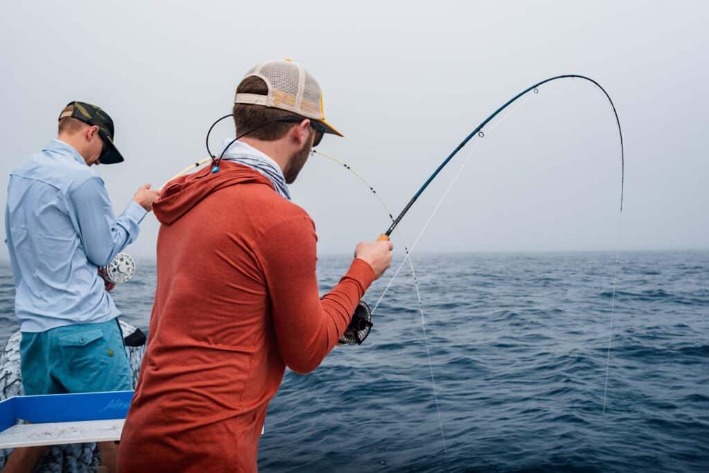 300-Pound Goliath Grouper on a Fly Rod