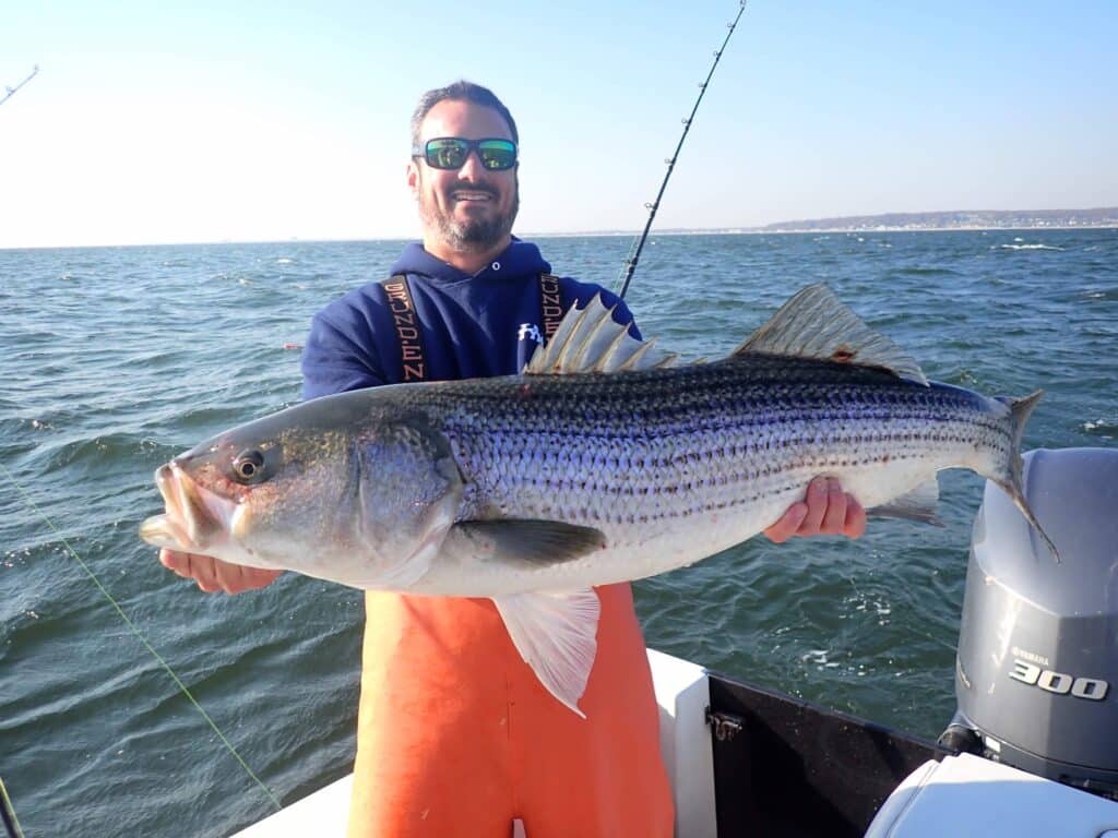 striped bass caught off New Jersey