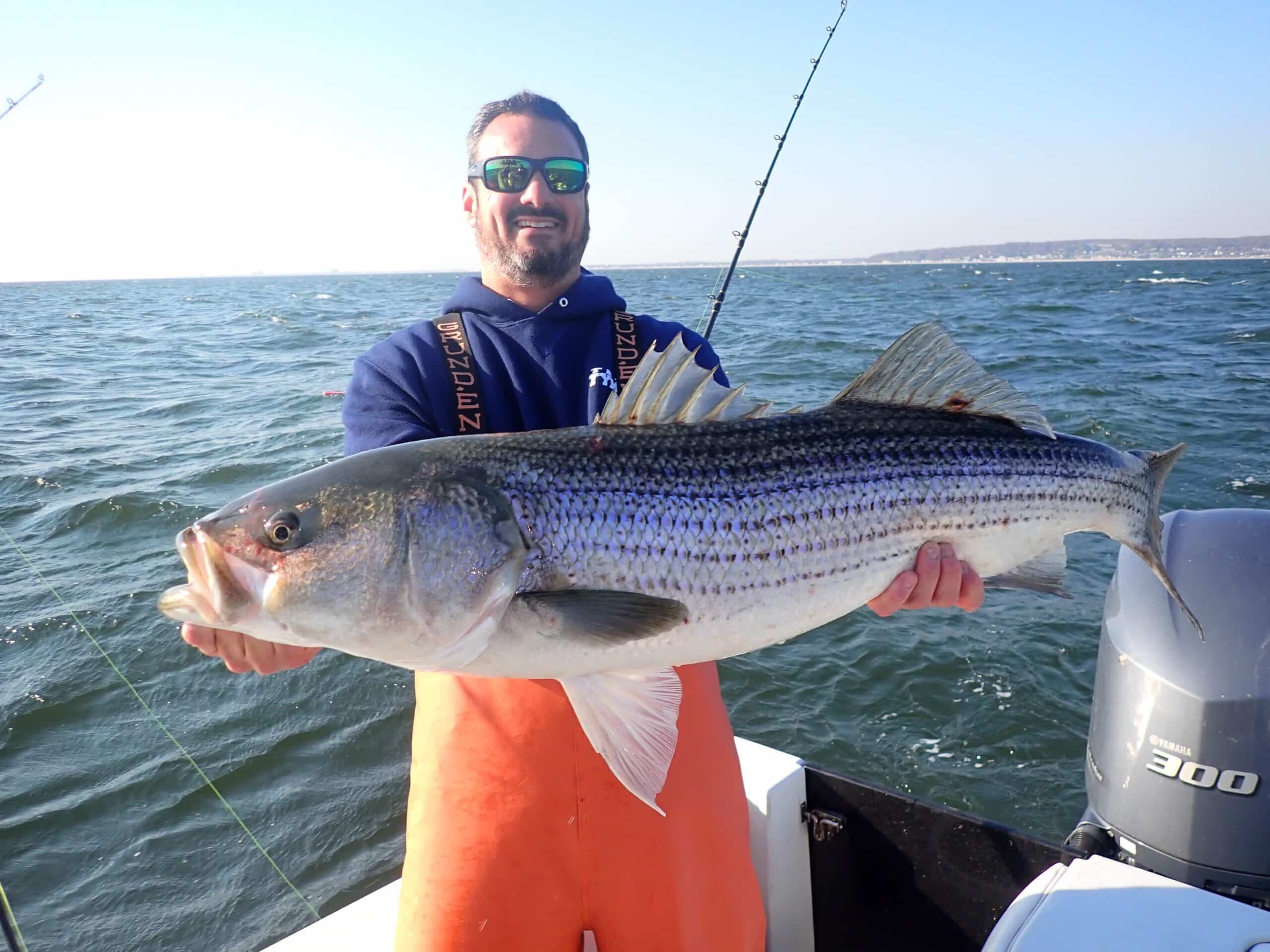 Is NJ the New Striped Bass Mecca?