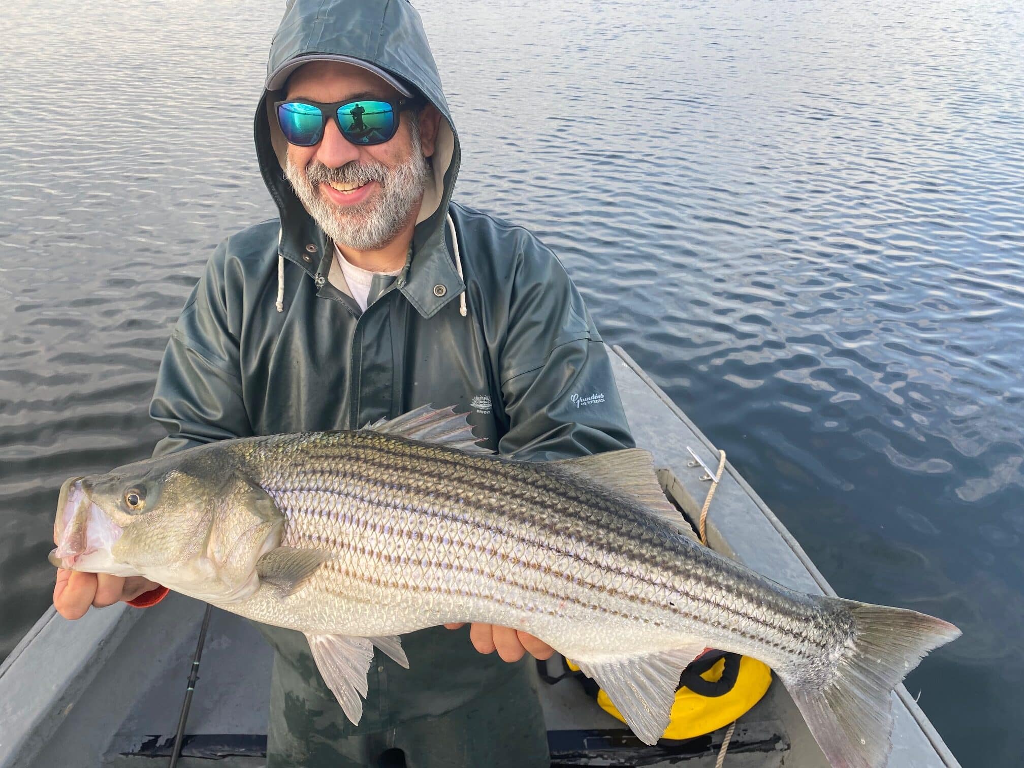 Emergency Striped Bass Regulations Salt Water Sportsman
