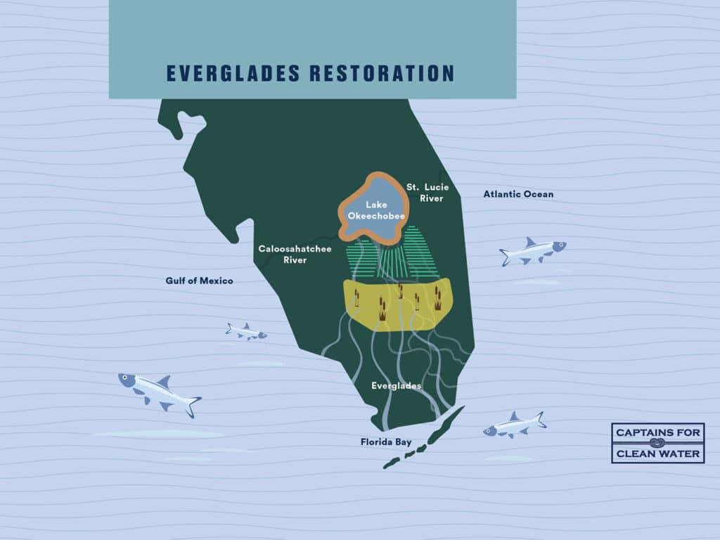 Everglades Restoration illustration