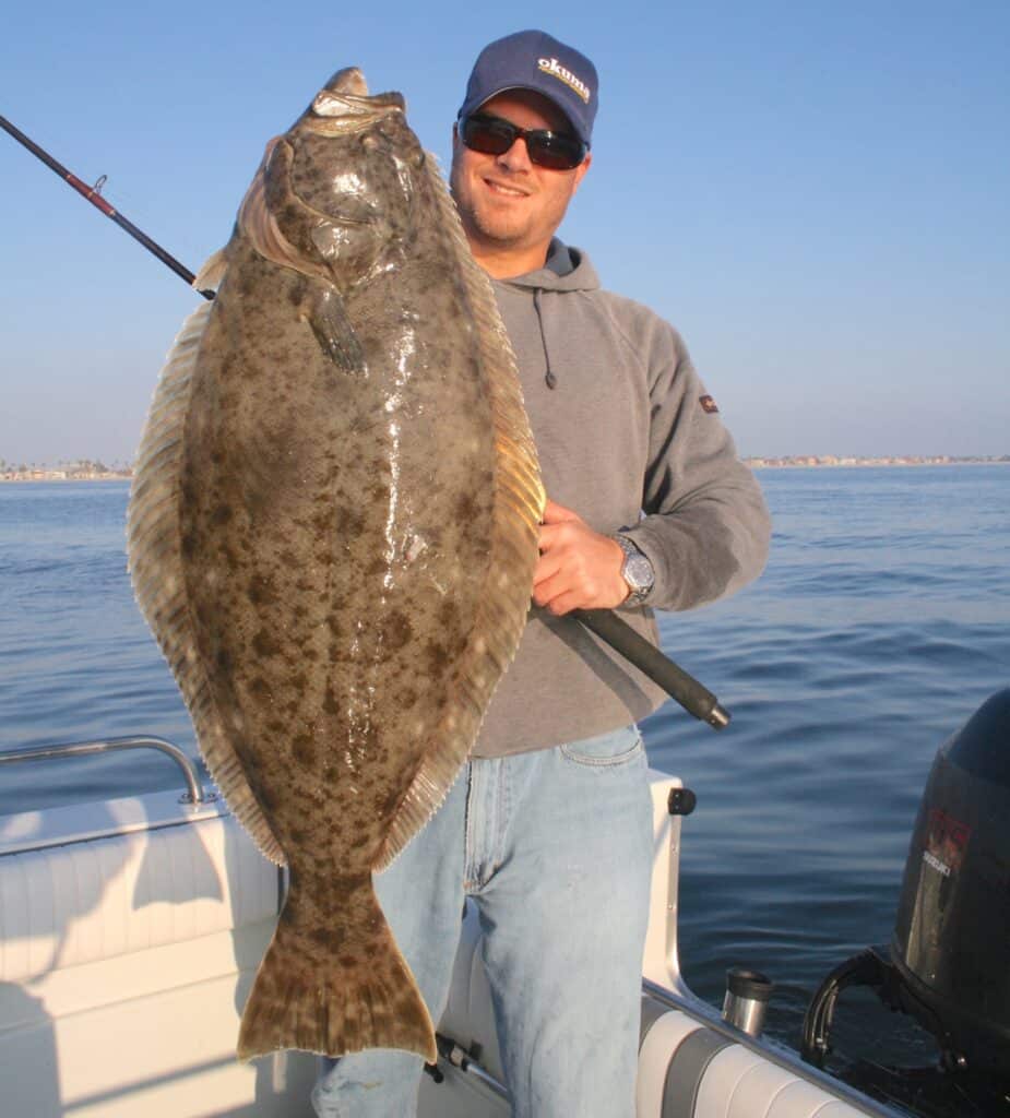 California halibut