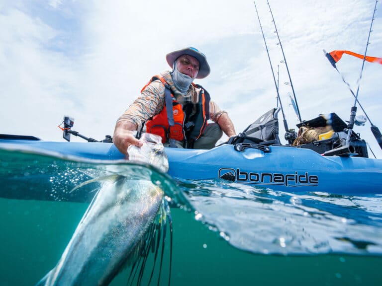 Angler releasing roosterfish