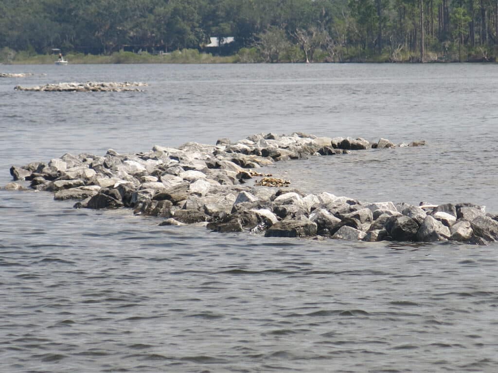 oyster reefs with limestone