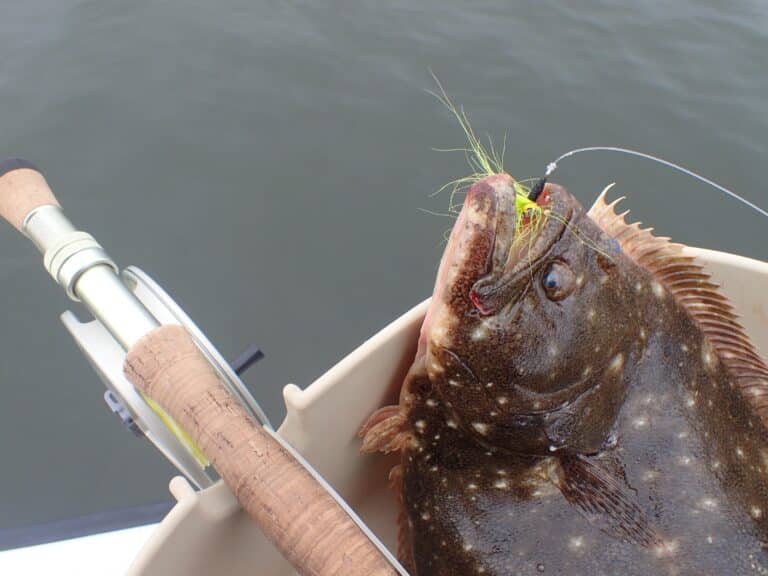 summer flounder in stripping basket