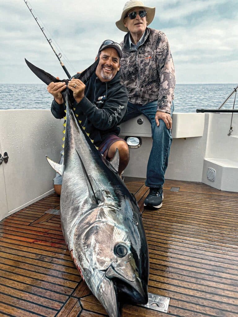 Large bluefin tuna